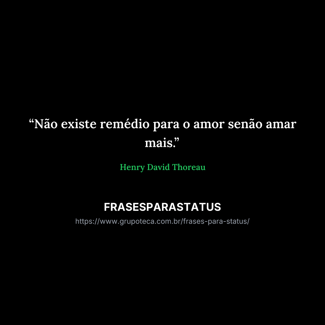 "Não existe remédio para o amor senão amar mais."
