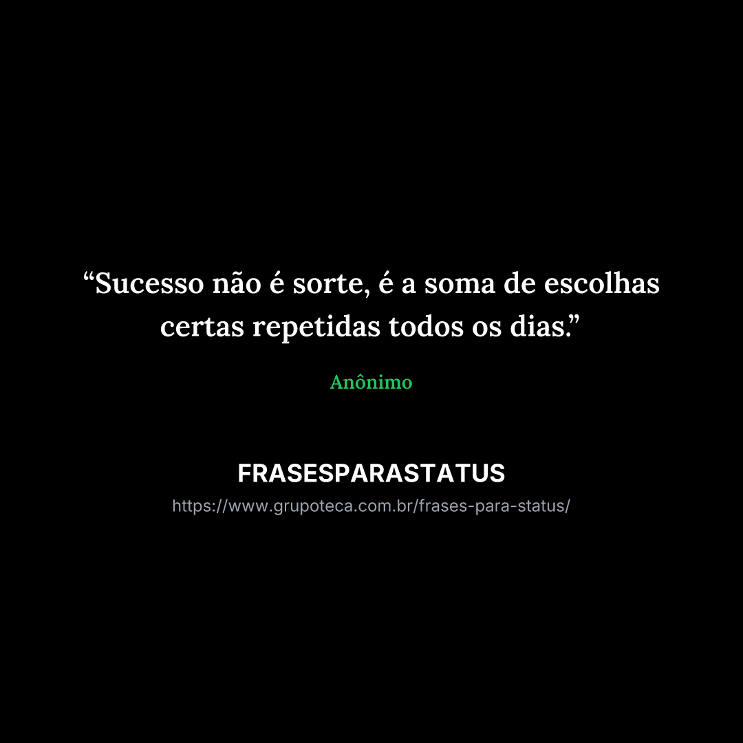 "Sucesso não é sorte, é a soma de escolhas certas repetidas todos os dias."